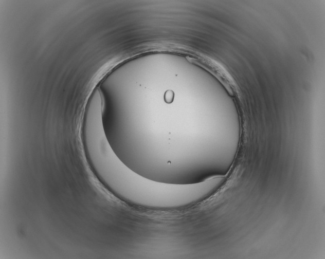 X0000113160946200910021458