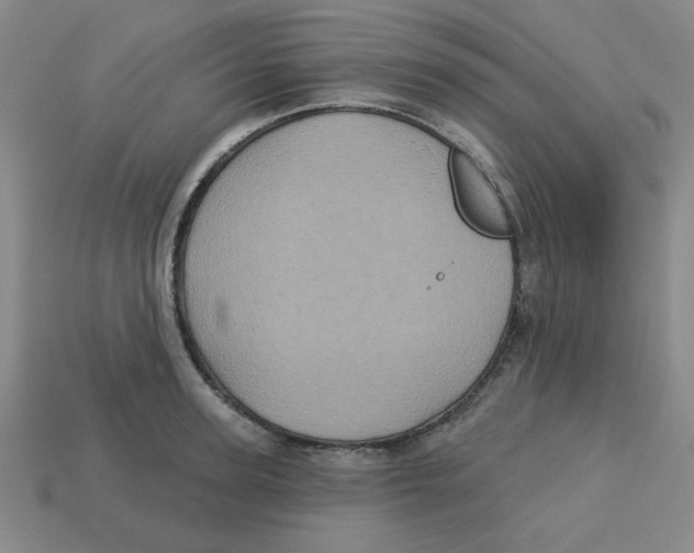 X0000113160947200910021458