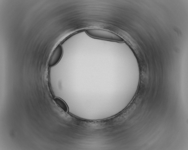 X0000113160948200910021458