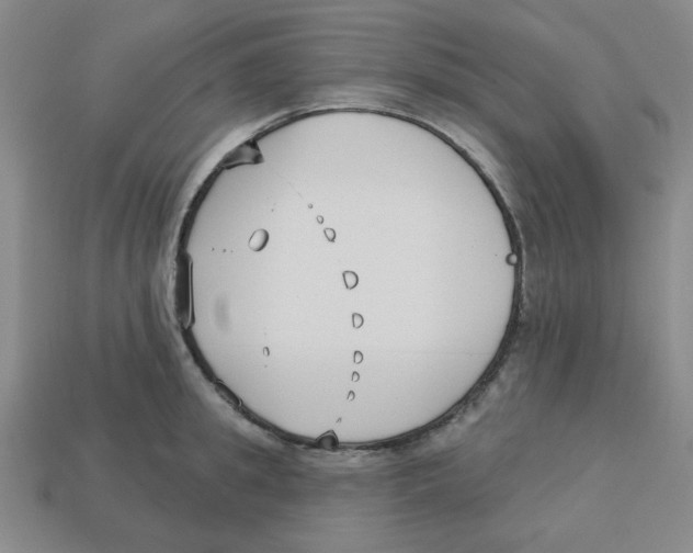 X0000113160949200910021458