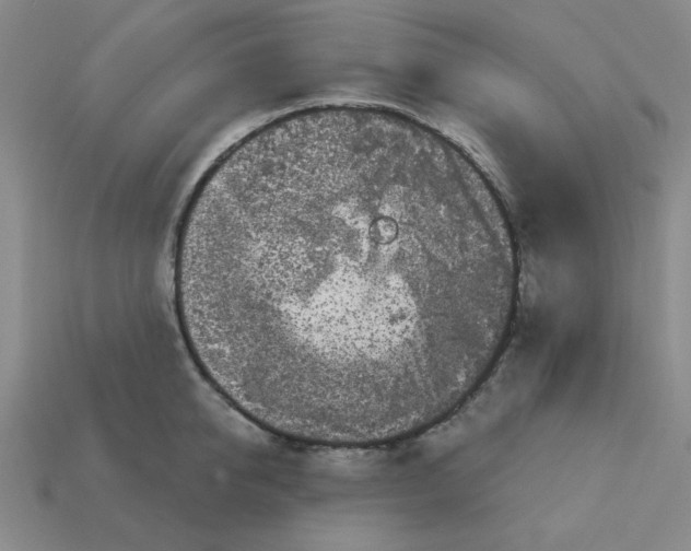 X0000113160950200910021458