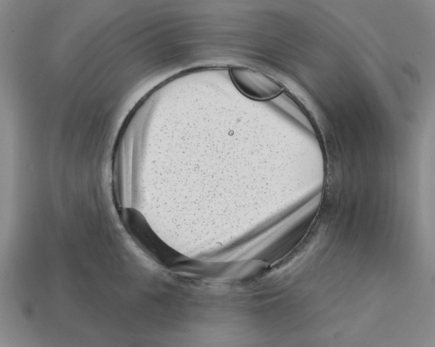 X0000113160951200910021458