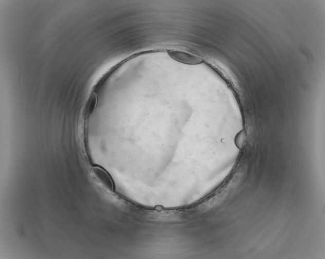 X0000113160952200910021458