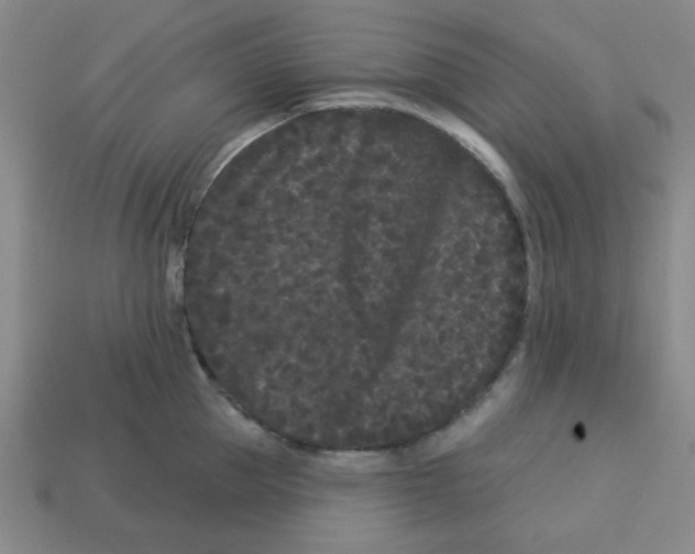 X0000113160953200910021458