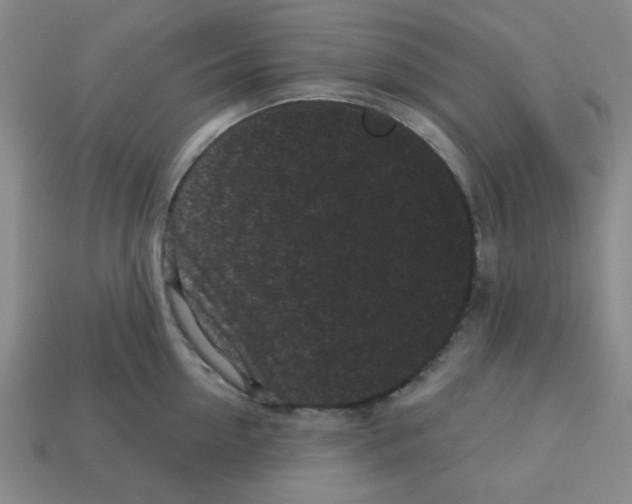 X0000113160954200910021458