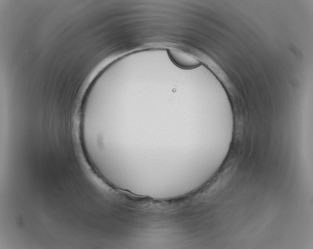 X0000113160955200910021458