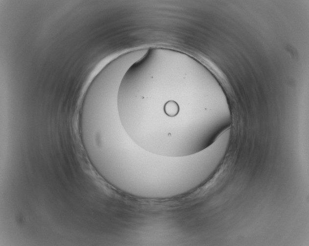 X0000113160956200910021459