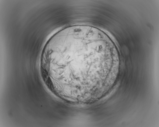 X0000113160957200910021459