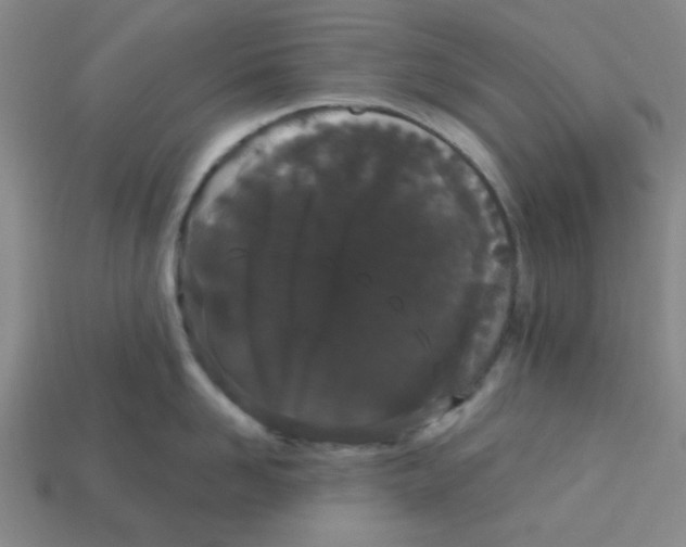 X0000113160958200910021459