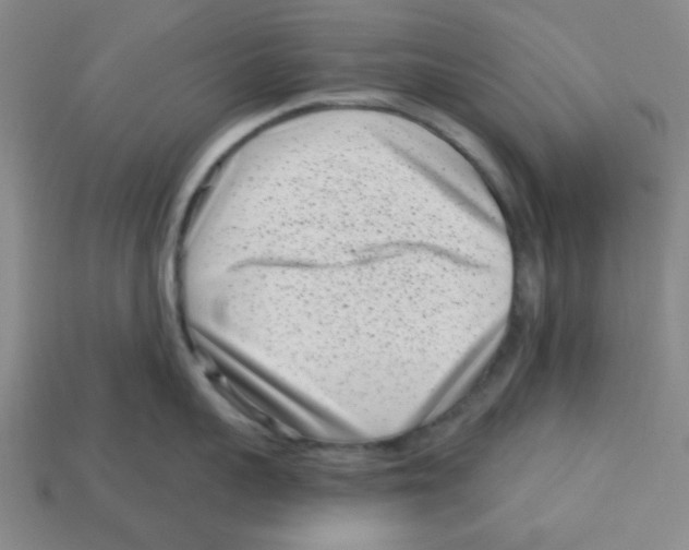 X0000113160959200910021459