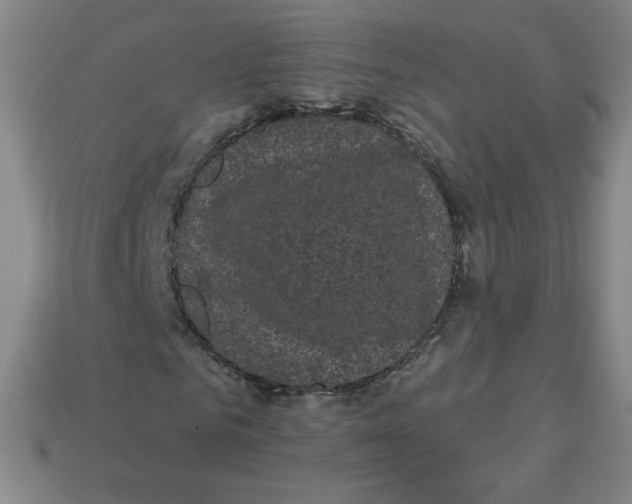 X0000113160961200910021458