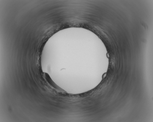 X0000113160964200910021458