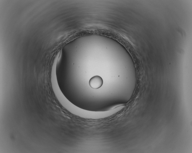 X0000113160965200910021458