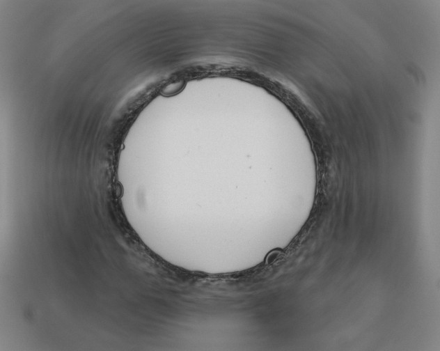 X0000113160967200910021458