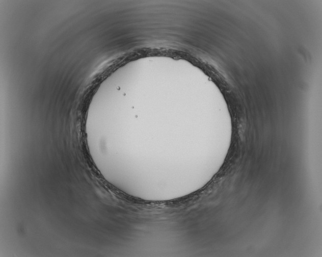 X0000113160968200910021458