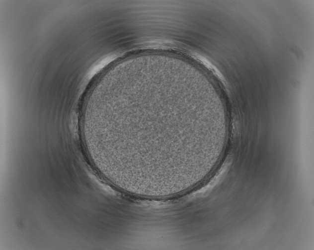 X0000113160970200910021458