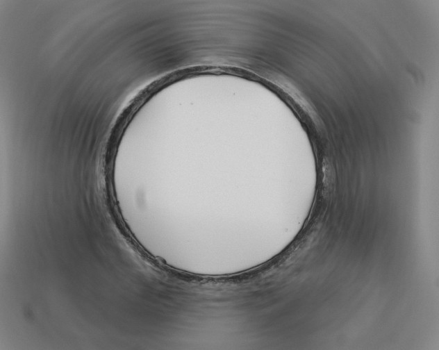 X0000113160972200910021458