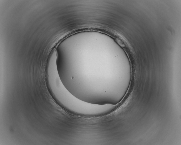 X0000113160977200910021458