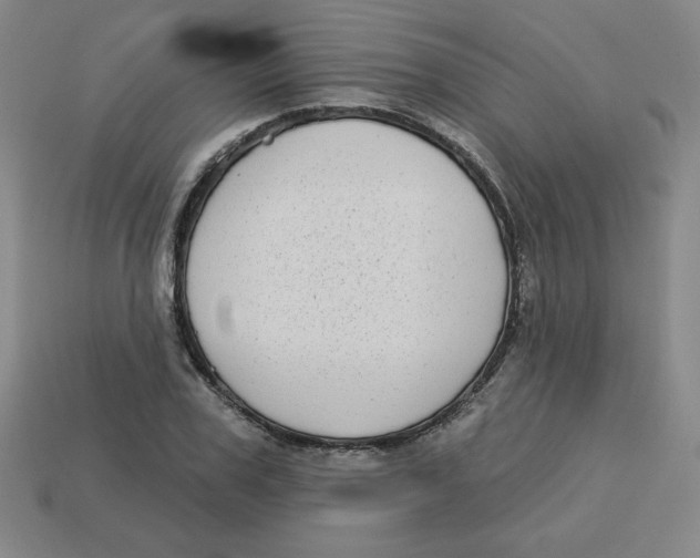 X0000113160979200910021458