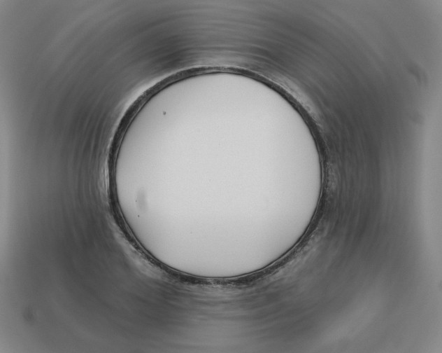 X0000113160980200910021458