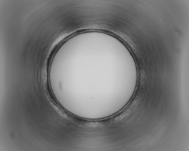 X0000113160982200910021458