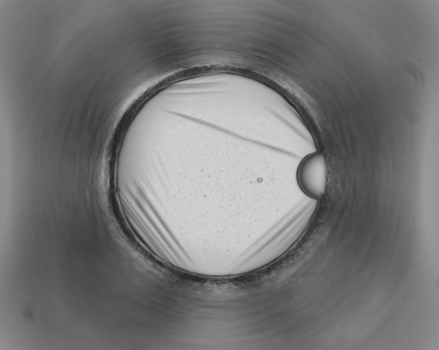 X0000113160983200910021458