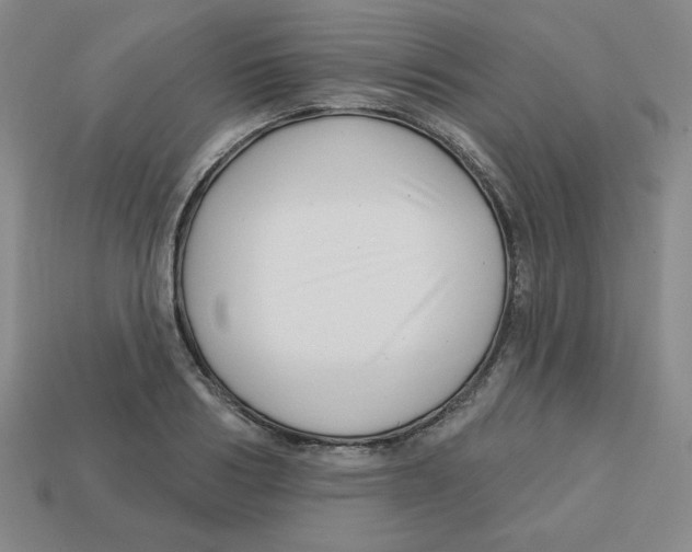 X0000113160986200910021458