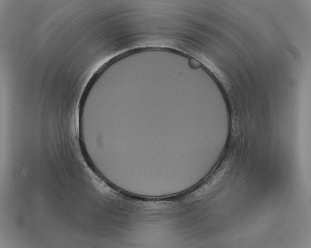 X0000113160988200910021457