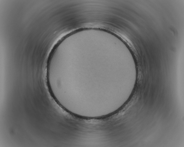 X0000113160992200910021457