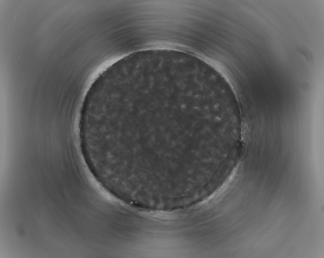 X0000113160995200910021457