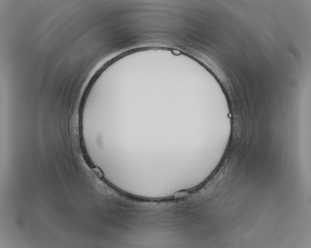 X0000113160996200910021457