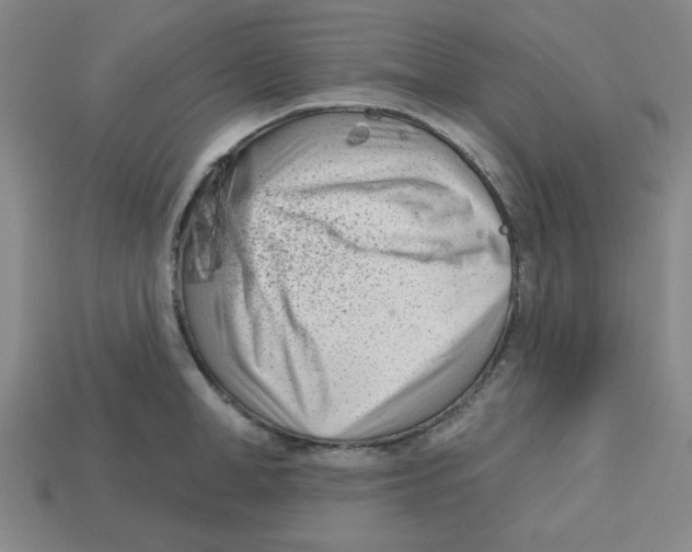 X0000113160998200910021457