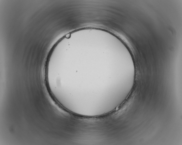 X0000113160999200910021457