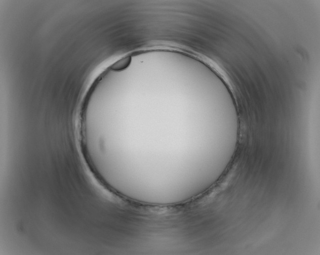 X0000113161003200910021457