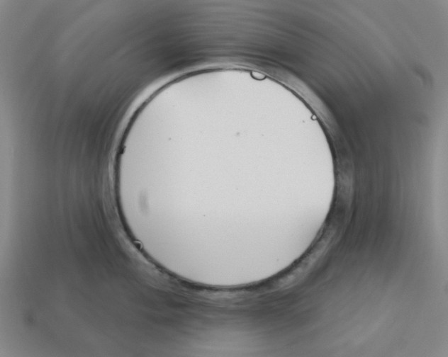 X0000113161004200910021457