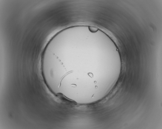 X0000113161006200910021457