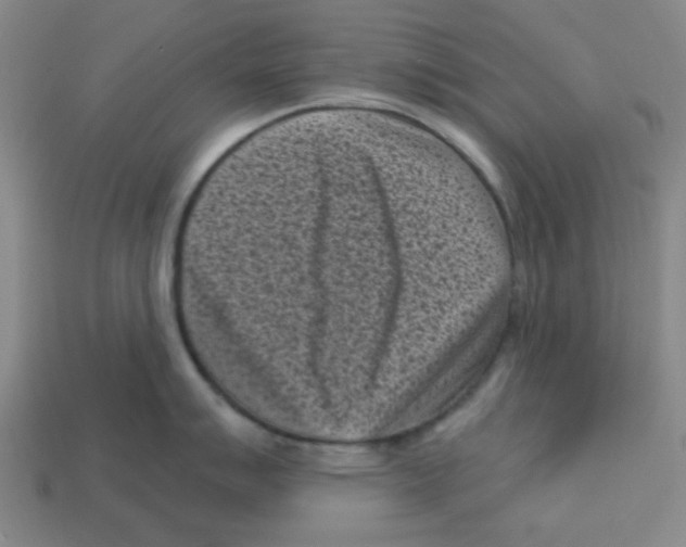 X0000113161007200910021457