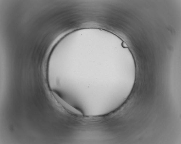 X0000113161008200910021457