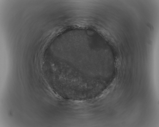 X0000113161009200910021456