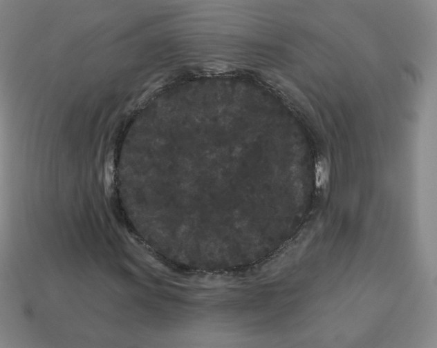 X0000113161011200910021456