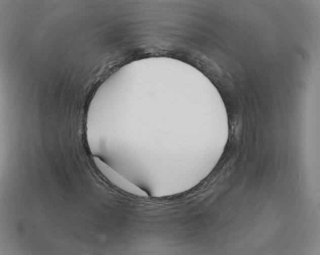 X0000113161012200910021456