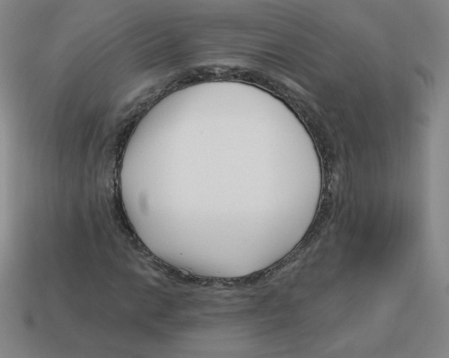 X0000113161014200910021457