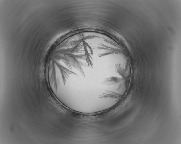 X0000113161019200910021457