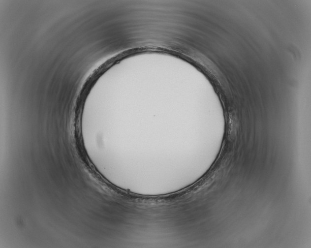 X0000113161020200910021457