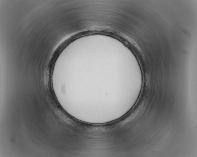 X0000113161021200910021457