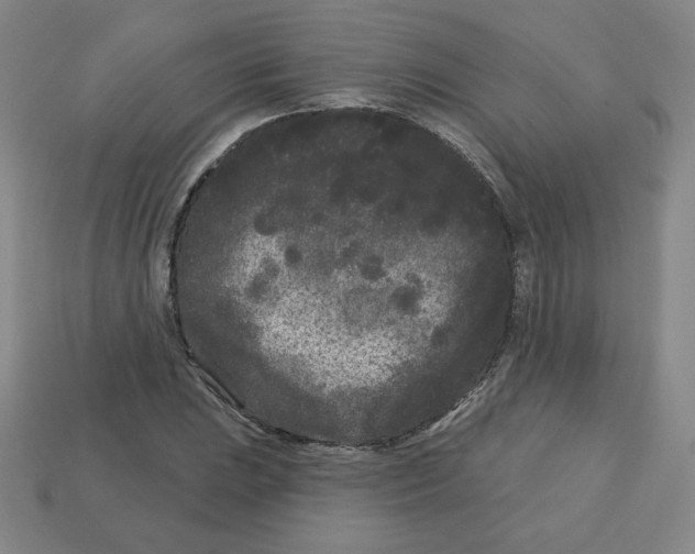 X0000113161023200910021457