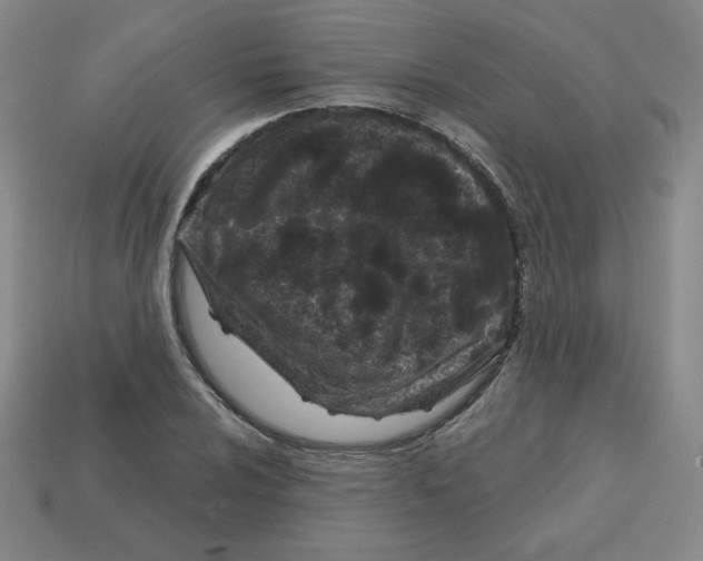 X0000113161024200910021457