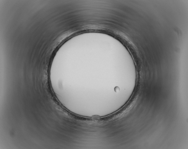 X0000113161025200910021457