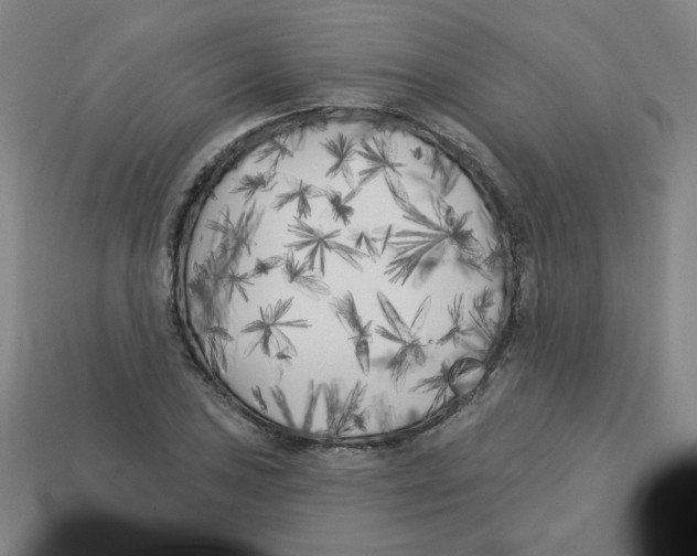 X0000113161027200910021457