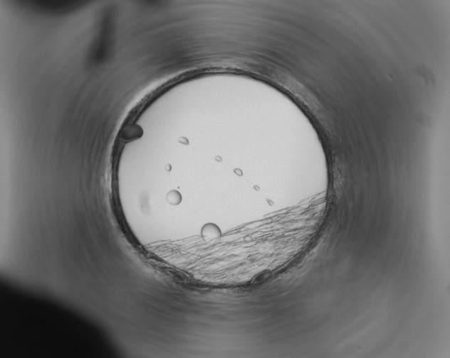 X0000113161028200910021457